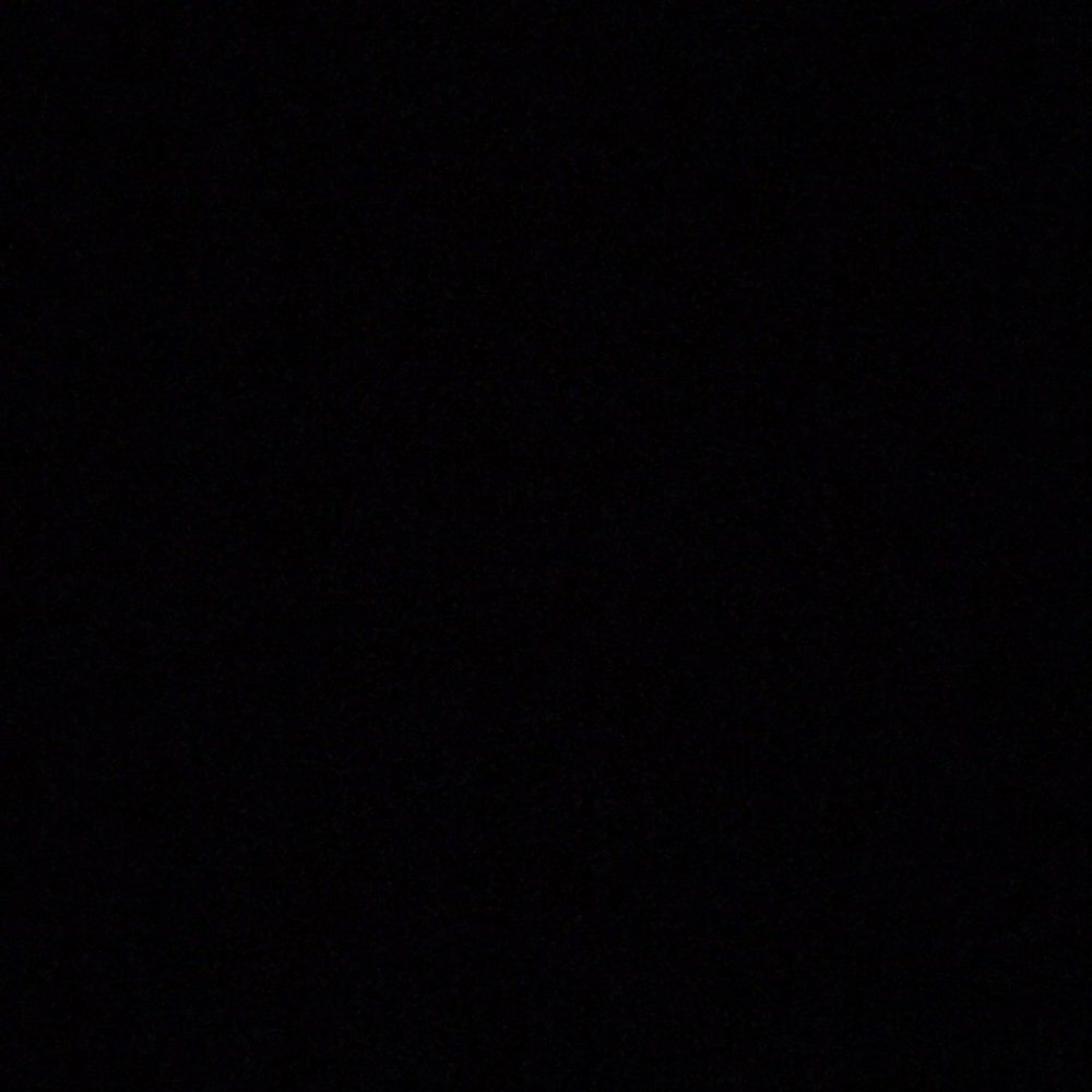 Meet your Posher, Cheyenne